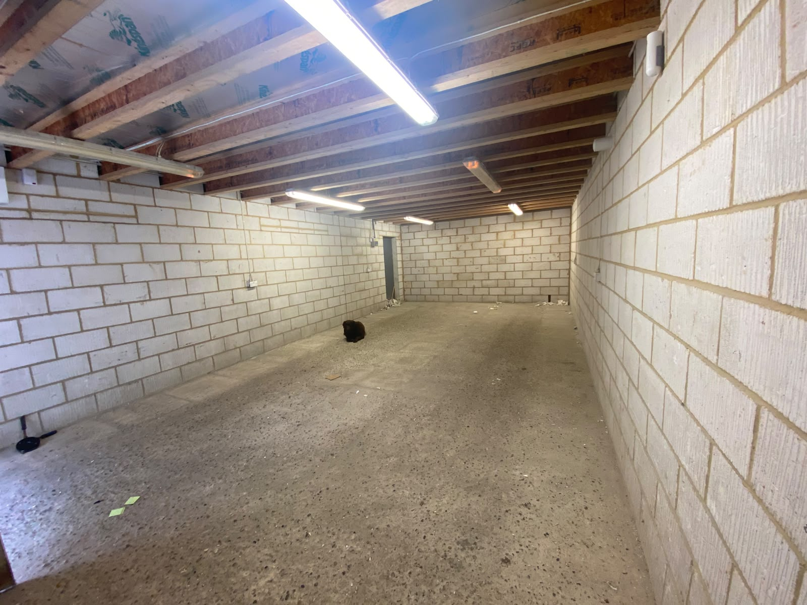 Storage unit interior showing the full floor area and lighting